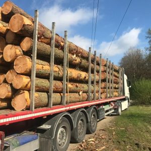 Châtaignier en grume – Camion complet de 50 stères, bois local pour poêle et insert fermés