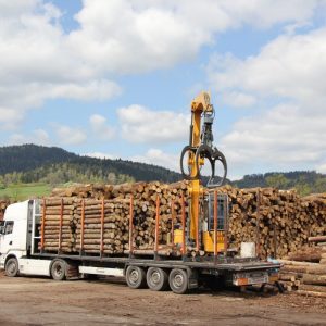 Hêtre en grume pour bois de chauffage – Camion complet de 50 stères, rondins de 2 m